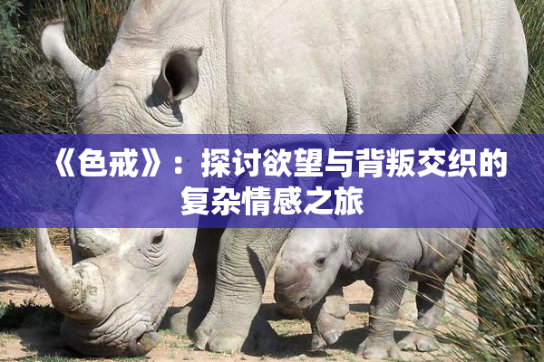 《色戒》：探讨欲望与背叛交织的复杂情感之旅