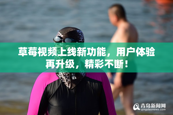 草莓视频上线新功能，用户体验再升级，精彩不断！