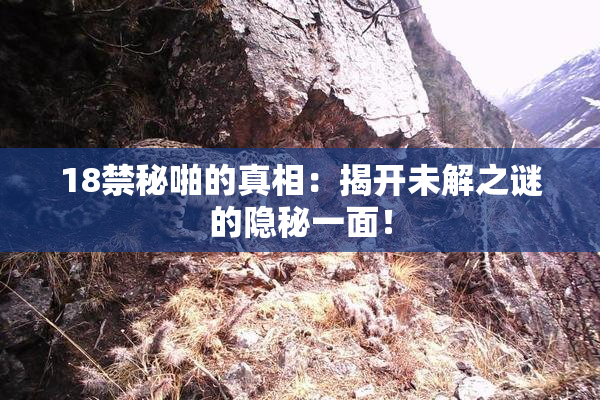 18禁秘啪的真相：揭开未解之谜的隐秘一面！