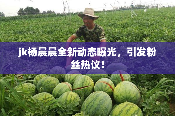 jk杨晨晨全新动态曝光，引发粉丝热议！