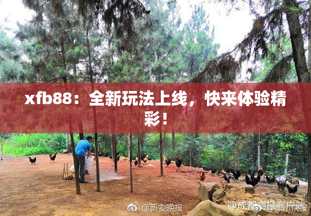 xfb88：全新玩法上线，快来体验精彩！