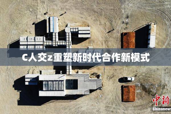 C人交z重塑新时代合作新模式