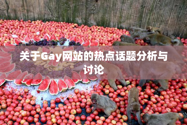 关于Gay网站的热点话题分析与讨论