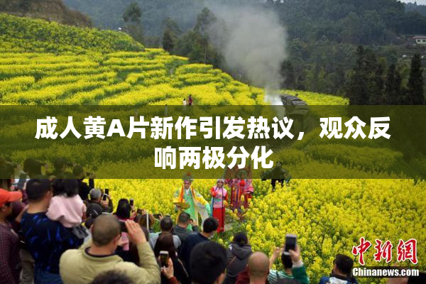 成人黄A片新作引发热议，观众反响两极分化