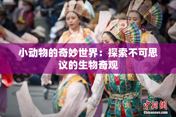 小动物的奇妙世界：探索不可思议的生物奇观