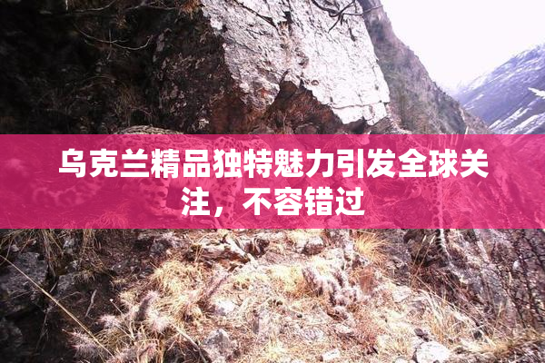 乌克兰精品独特魅力引发全球关注，不容错过