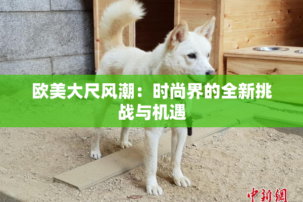 欧美大尺风潮：时尚界的全新挑战与机遇