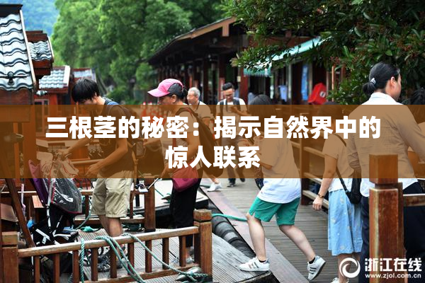 三根茎的秘密：揭示自然界中的惊人联系