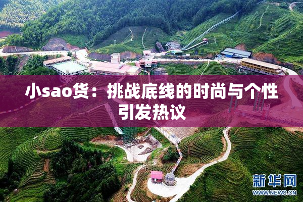 小sao货：挑战底线的时尚与个性引发热议