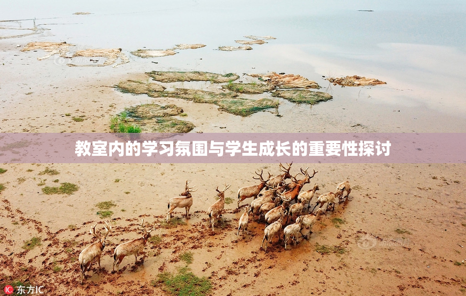 教室内的学习氛围与学生成长的重要性探讨