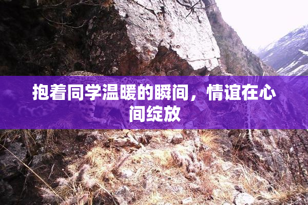 抱着同学温暖的瞬间，情谊在心间绽放
