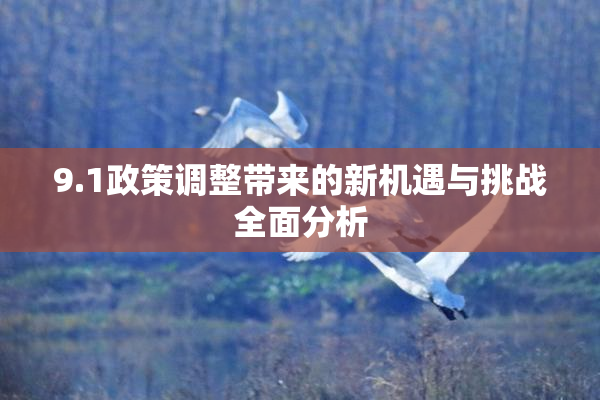 9.1政策调整带来的新机遇与挑战全面分析
