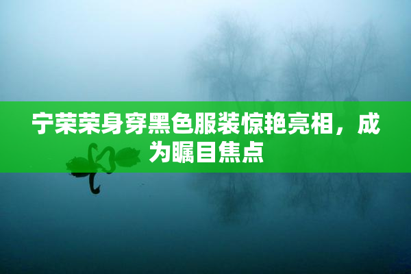 宁荣荣身穿黑色服装惊艳亮相，成为瞩目焦点