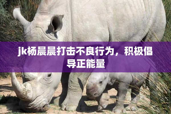 jk杨晨晨打击不良行为，积极倡导正能量