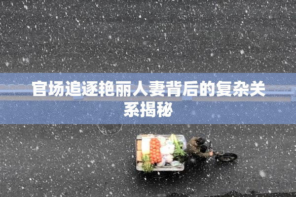 官场追逐艳丽人妻背后的复杂关系揭秘