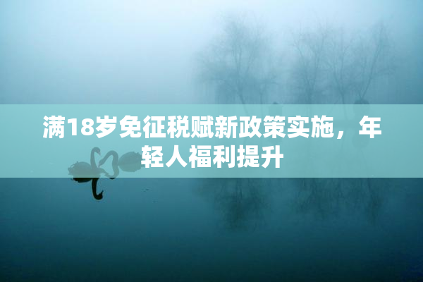 满18岁免征税赋新政策实施，年轻人福利提升