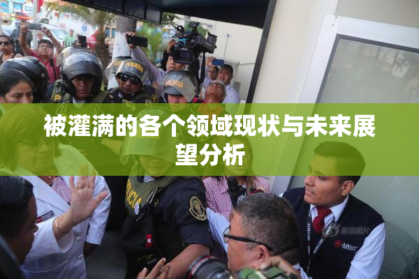 被灌满的各个领域现状与未来展望分析