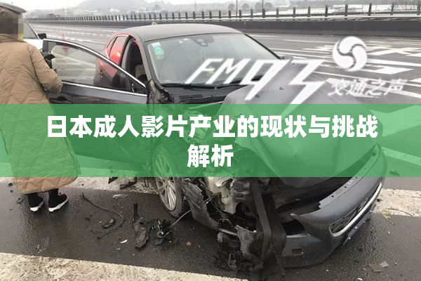 日本成人影片产业的现状与挑战解析