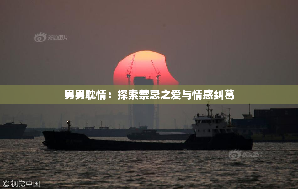 男男耽情：探索禁忌之爱与情感纠葛