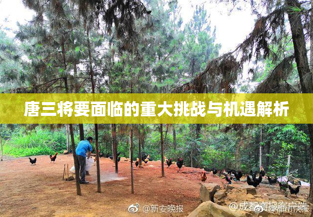 唐三将要面临的重大挑战与机遇解析