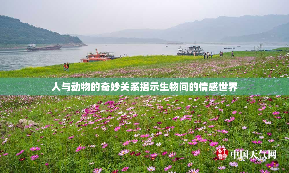 人与动物的奇妙关系揭示生物间的情感世界