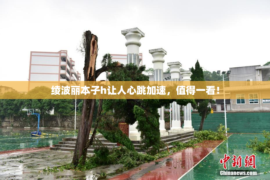 绫波丽本子h让人心跳加速，值得一看！