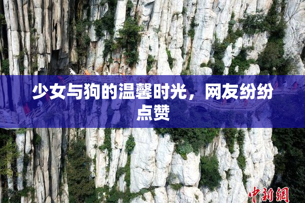 少女与狗的温馨时光，网友纷纷点赞