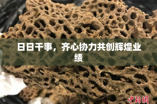 日日干事，齐心协力共创辉煌业绩