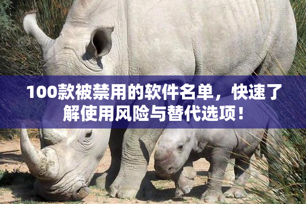 100款被禁用的软件名单，快速了解使用风险与替代选项！