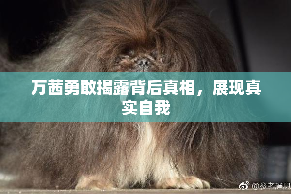 万茜勇敢揭露背后真相，展现真实自我