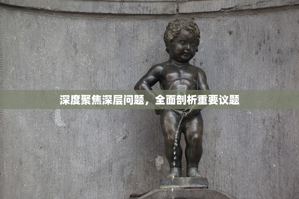 深度聚焦深层问题，全面剖析重要议题