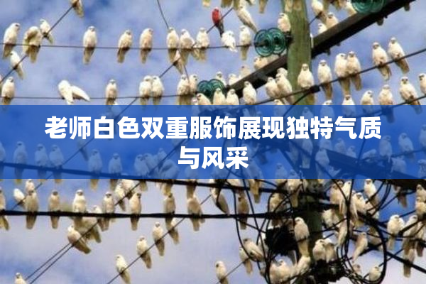 老师白色双重服饰展现独特气质与风采