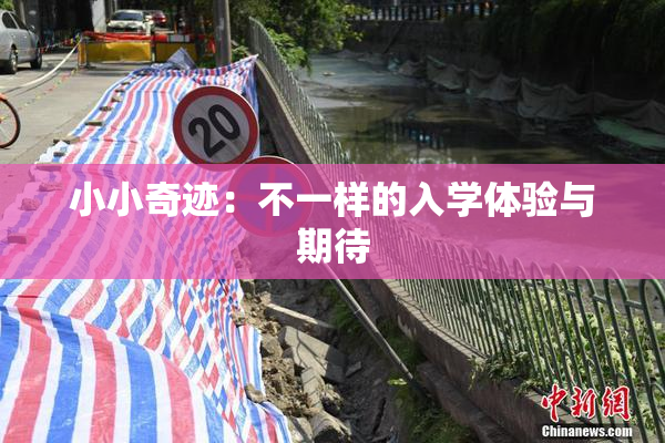 小小奇迹：不一样的入学体验与期待