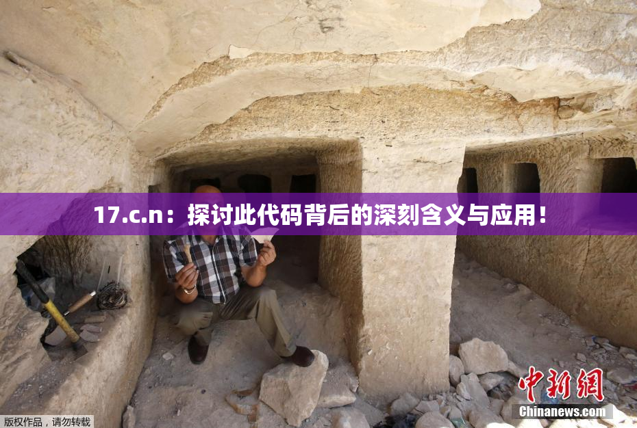 17.c.n：探讨此代码背后的深刻含义与应用！