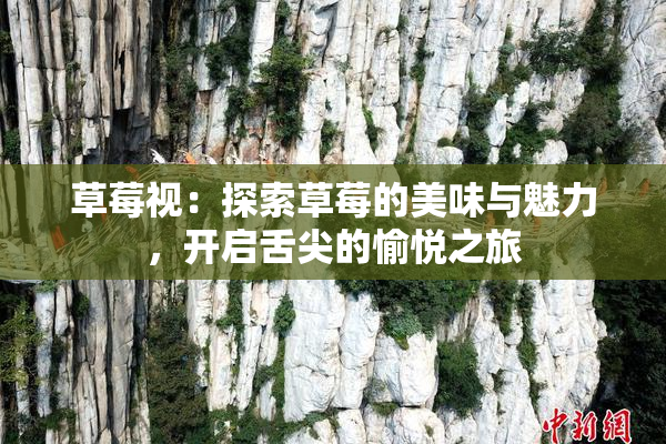 草莓视：探索草莓的美味与魅力，开启舌尖的愉悦之旅