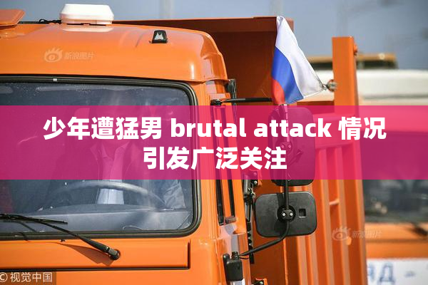 少年遭猛男 brutal attack 情况引发广泛关注