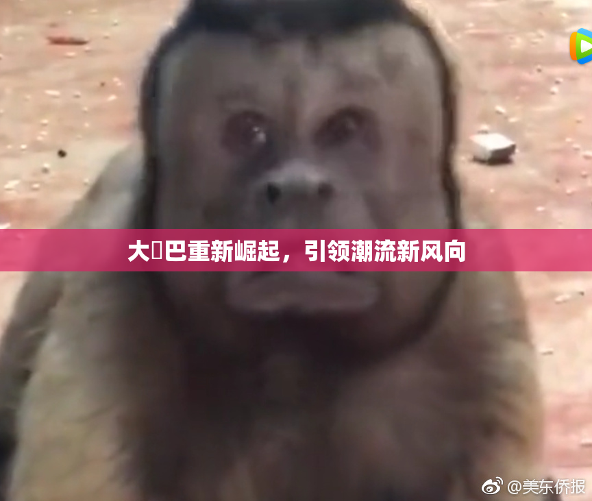 大鳮巴重新崛起，引领潮流新风向