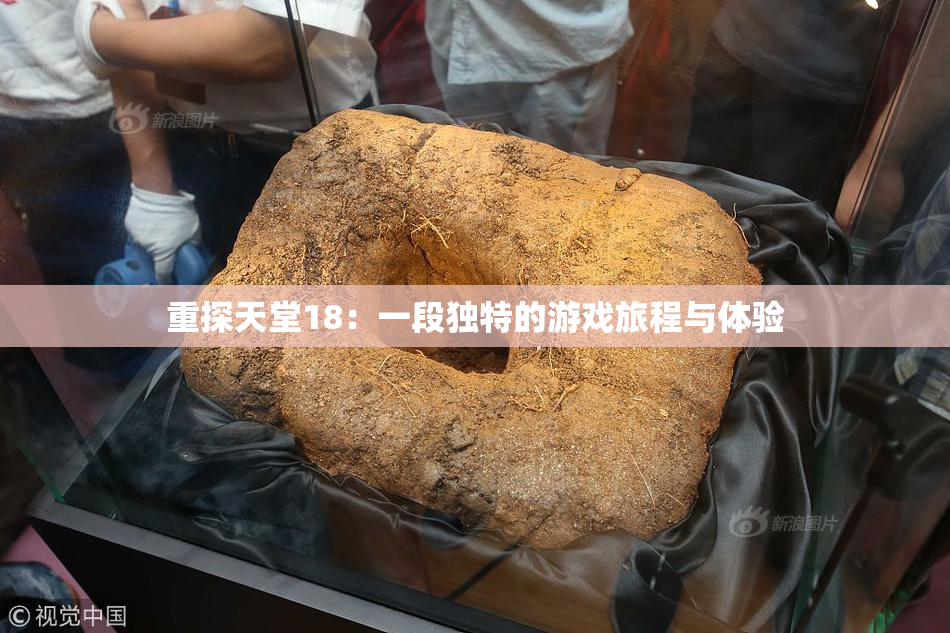 重探天堂18：一段独特的游戏旅程与体验