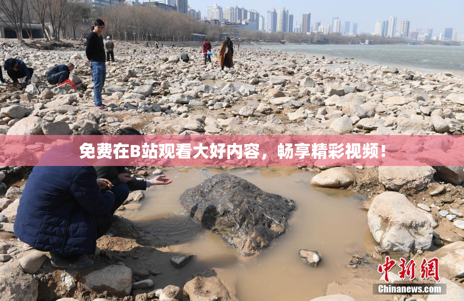 免费在B站观看大好内容，畅享精彩视频！