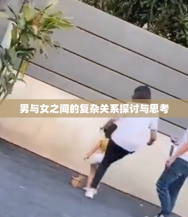 男与女之间的复杂关系探讨与思考
