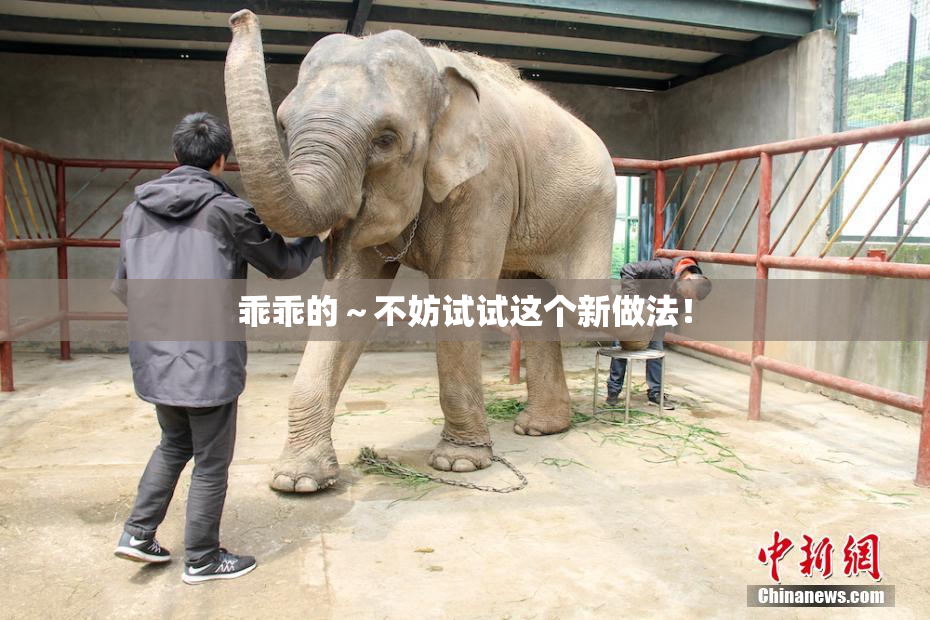 乖乖的～不妨试试这个新做法！