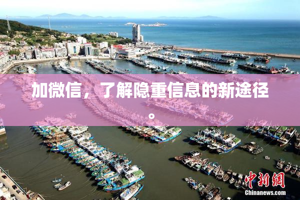 加微信，了解隐重信息的新途径。