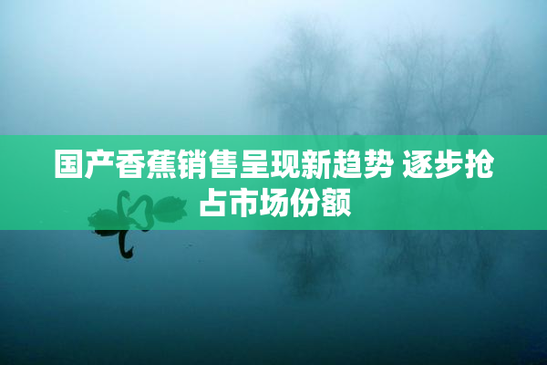 国产香蕉销售呈现新趋势 逐步抢占市场份额
