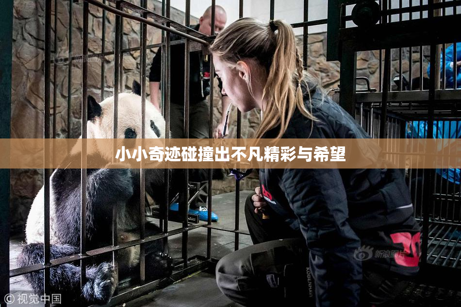 小小奇迹碰撞出不凡精彩与希望