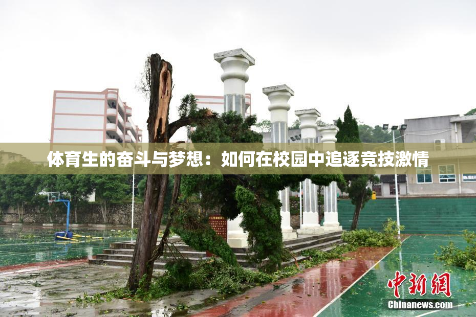 体育生的奋斗与梦想：如何在校园中追逐竞技激情