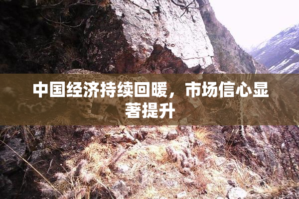中国经济持续回暖，市场信心显著提升