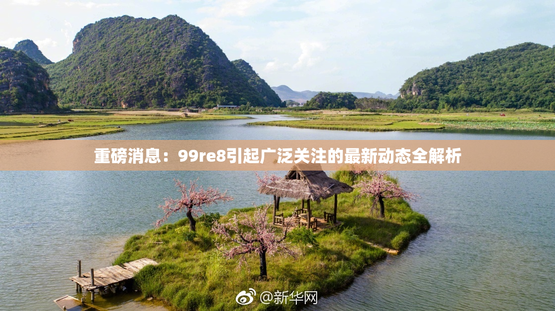 重磅消息：99re8引起广泛关注的最新动态全解析