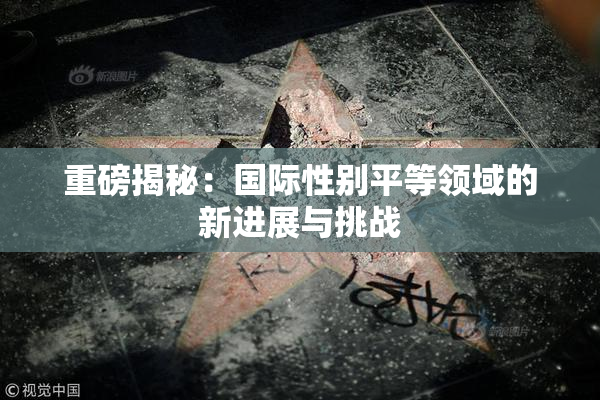 重磅揭秘：国际性别平等领域的新进展与挑战