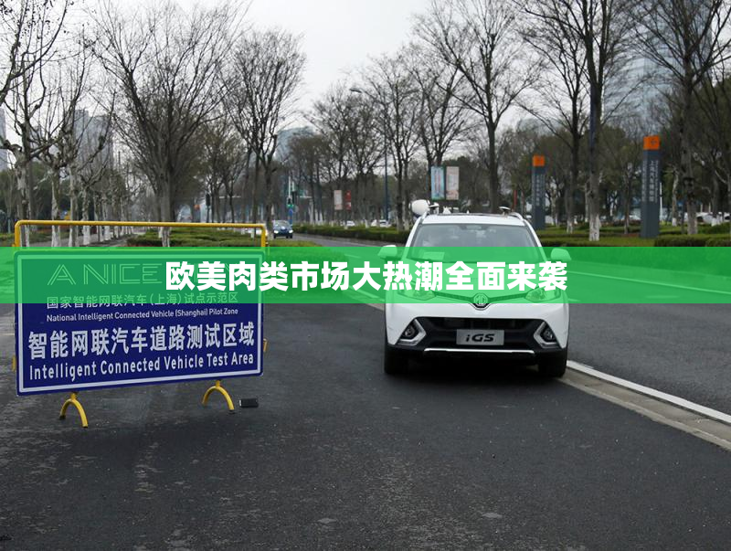 欧美肉类市场大热潮全面来袭