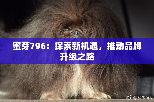蜜芽796：探索新机遇，推动品牌升级之路